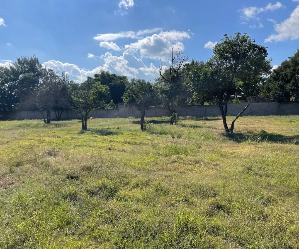 Terreno En Venta,El Cortijo,Av. El Cortijo S/N, Tlajomulco de Zúñiga, Jalisco 45640,Av. El Cortijo,pmKrzPr Terreno En Venta,El Cortijo,Av. El Cortijo S/N, Tlajomulco de Zúñiga, Jalisco 45640,Av. El Cortijo,pmKrzPr