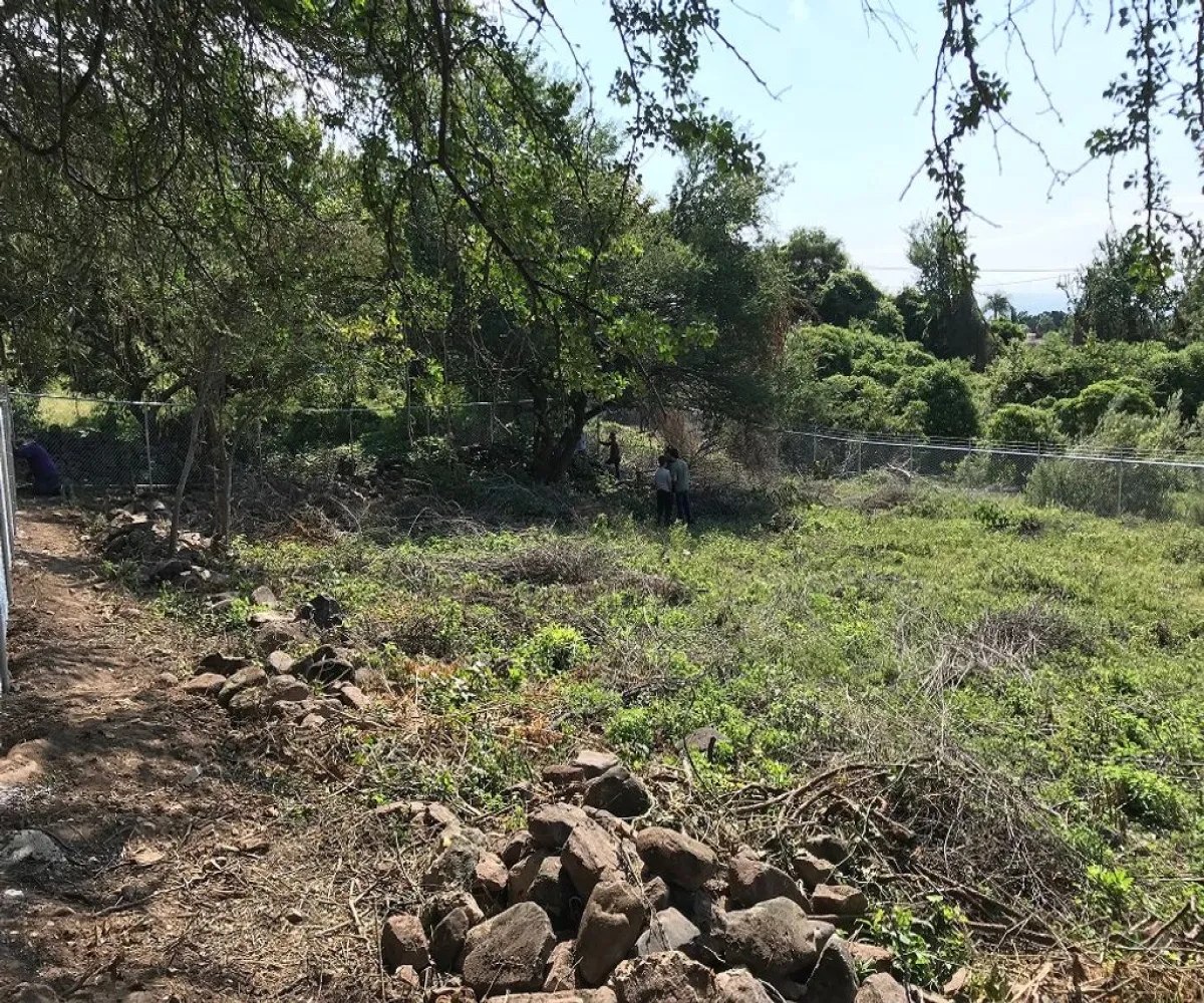 Terreno En Venta,Ajijic Centro,paseo del prado 10, Chapala, Jalisco 45920,paseo del prado,p7PIgF9