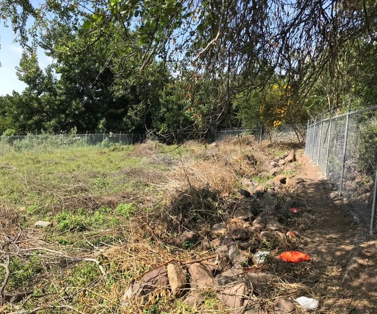 Terreno En Venta,Ajijic Centro,paseo del prado 10, Chapala, Jalisco 45920,paseo del prado,p7PIgF9