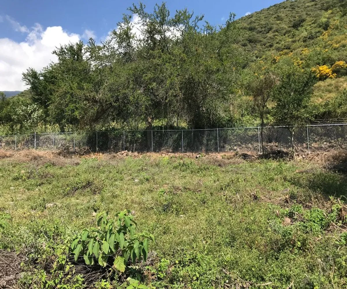 Terreno En Venta,Ajijic Centro,paseo del prado 10, Chapala, Jalisco 45920,paseo del prado,p7PIgF9