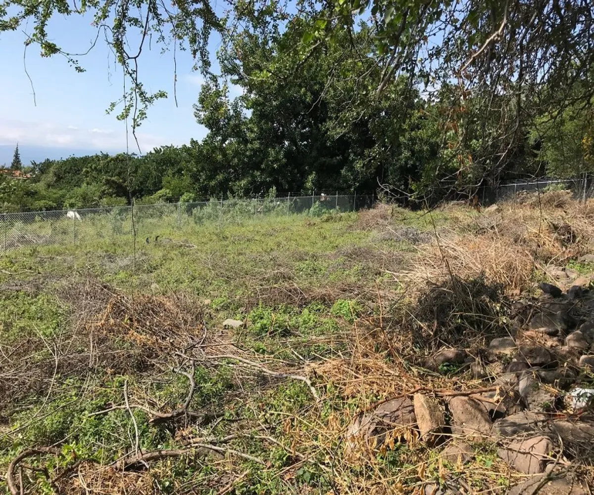 Terreno En Venta,Ajijic Centro,paseo del prado 10, Chapala, Jalisco 45920,paseo del prado,p7PIgF9