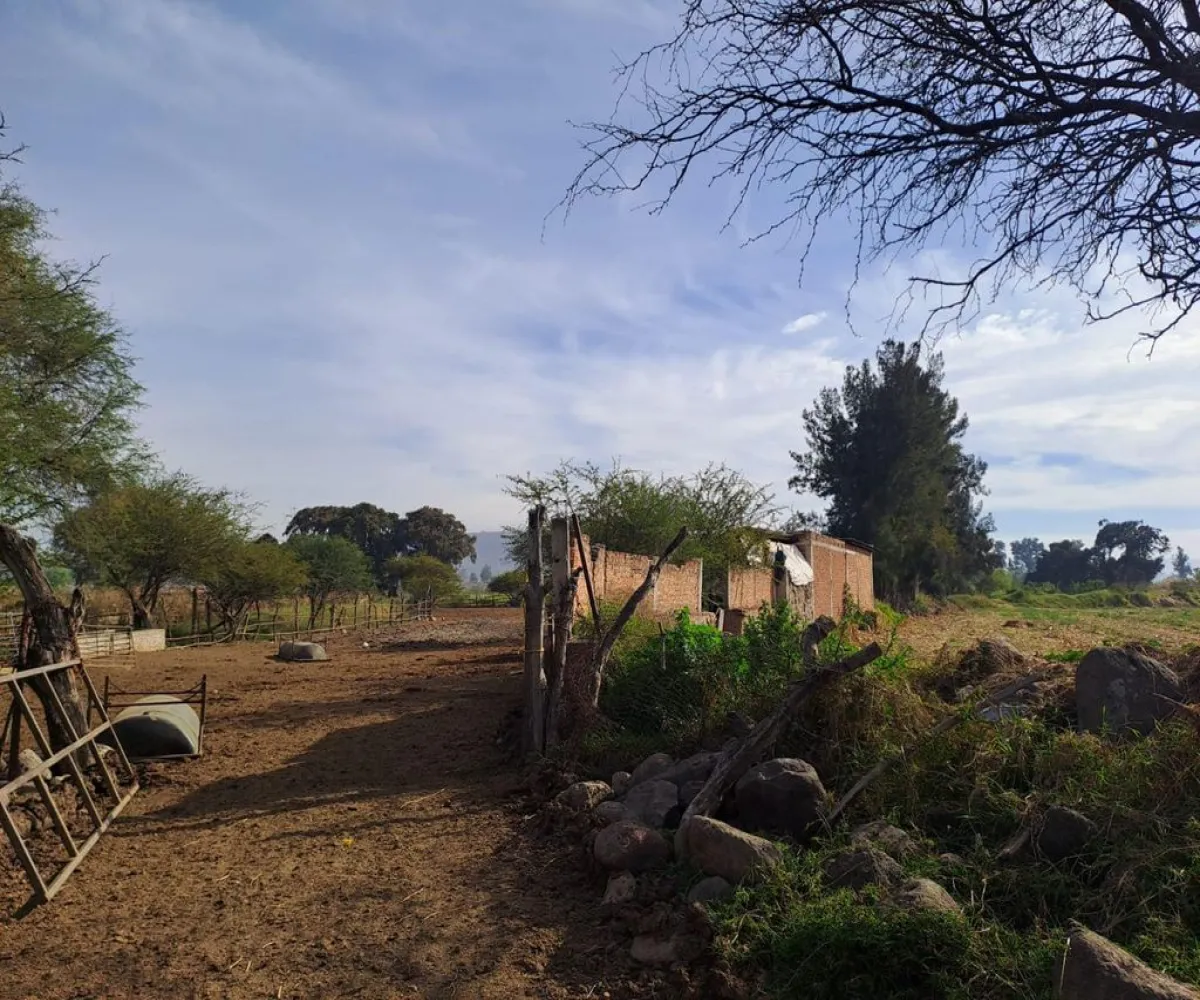 Terreno En Venta,Zapotlanejo Centro,20 de Noviembre S/N, Zapotlanejo, Jalisco 45430,20 de Noviembre,pnoeVZe