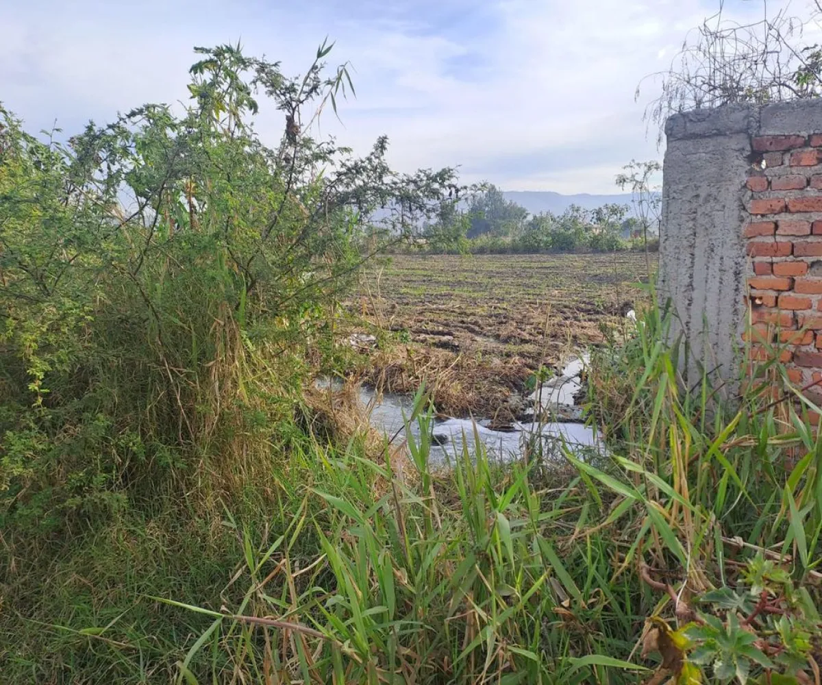 Terreno En Venta,Zapotlanejo Centro,20 de Noviembre S/N, Zapotlanejo, Jalisco 45430,20 de Noviembre,pnoeVZe