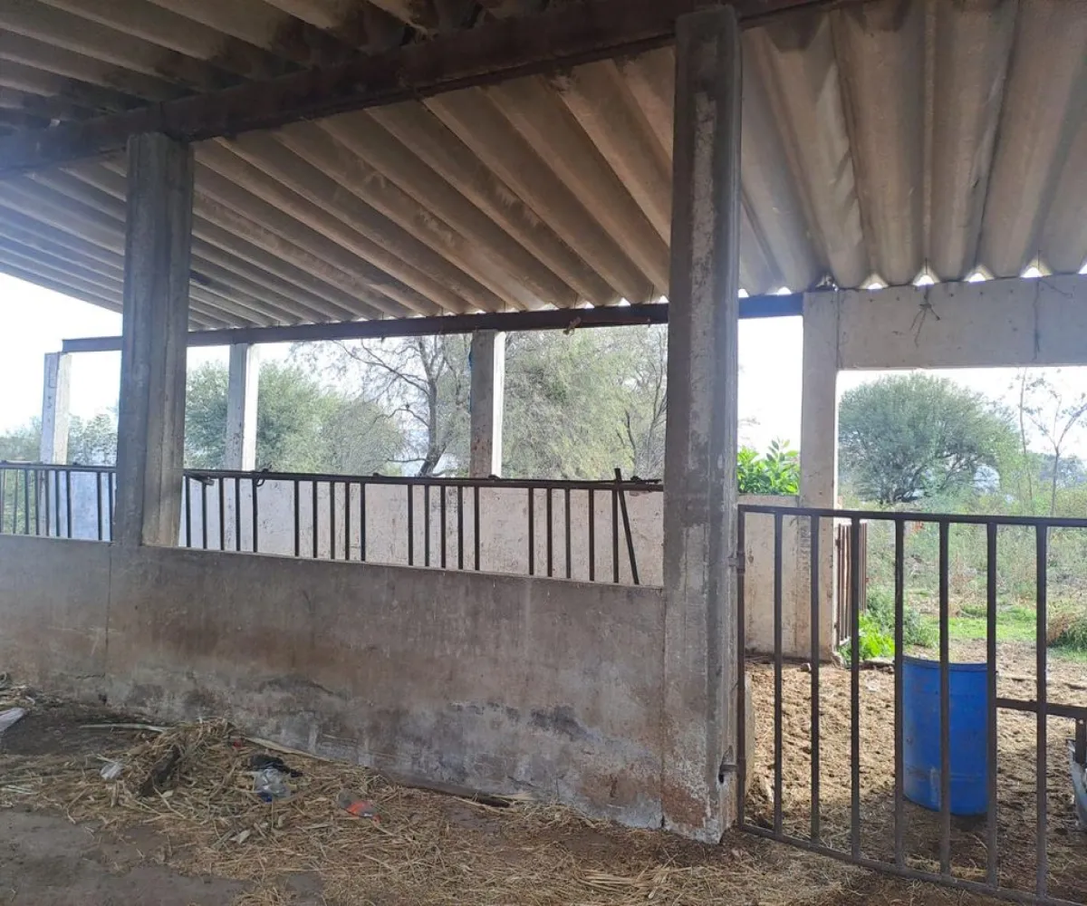 Terreno En Venta,Zapotlanejo Centro,20 de Noviembre S/N, Zapotlanejo, Jalisco 45430,20 de Noviembre,pnoeVZe