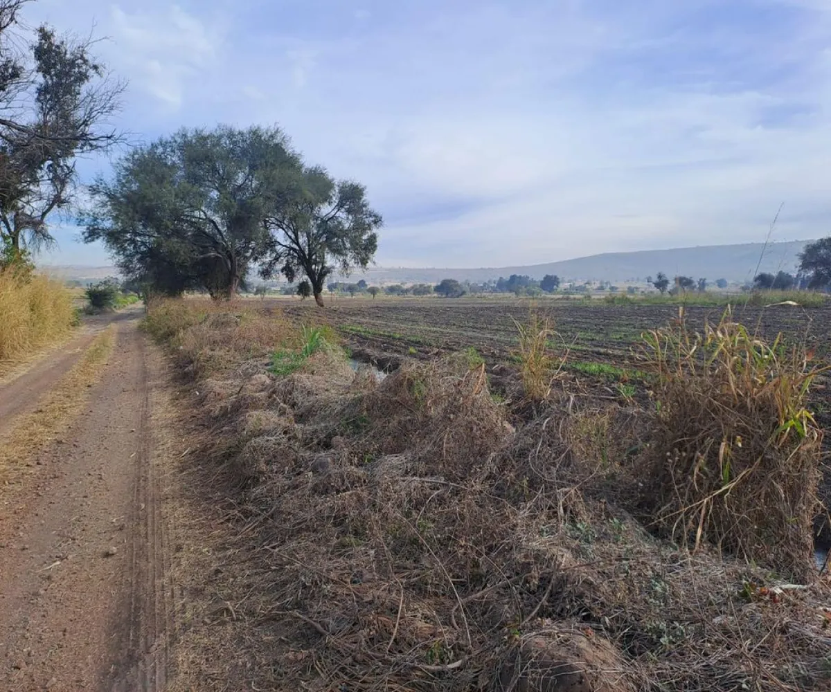 Terreno En Venta,Zapotlanejo Centro,20 de Noviembre S/N, Zapotlanejo, Jalisco 45430,20 de Noviembre,pnoeVZe