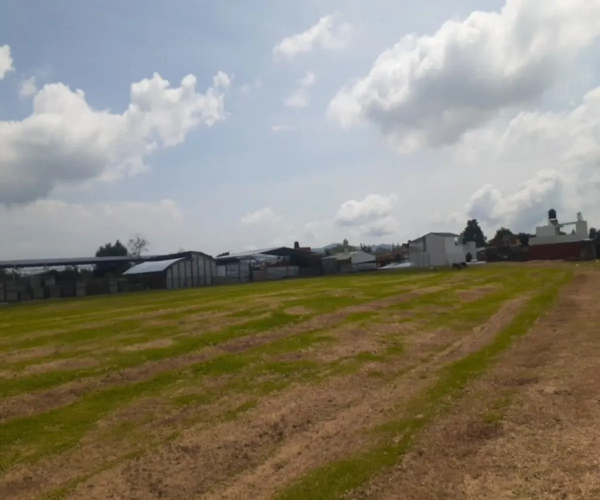 Terreno En Venta,Hurtado,Dolores Fracc. Hurtado 5, Uruapan, Michoacán de Ocampo 60030, Dolores Fracc. Hurtado ,pyr6rgE Terreno En Venta,Hurtado,Dolores Fracc. Hurtado 5, Uruapan, Michoacán de Ocampo 60030, Dolores Fracc. Hurtado ,pyr6rgE