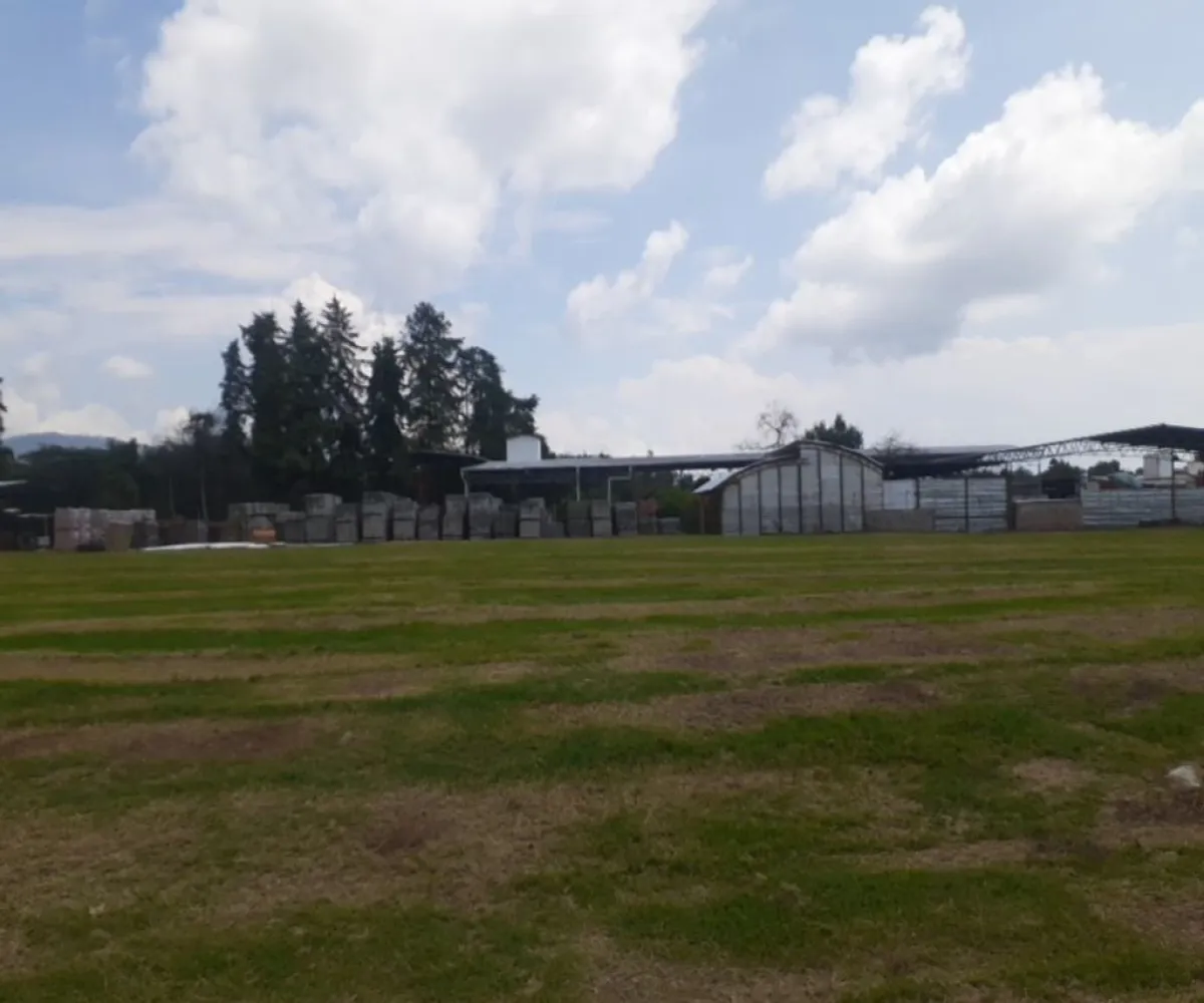 Terreno En Venta,Hurtado,Dolores Fracc. Hurtado 5, Uruapan, Michoacán de Ocampo 60030, Dolores Fracc. Hurtado ,pyr6rgE Terreno En Venta,Hurtado,Dolores Fracc. Hurtado 5, Uruapan, Michoacán de Ocampo 60030, Dolores Fracc. Hurtado ,pyr6rgE