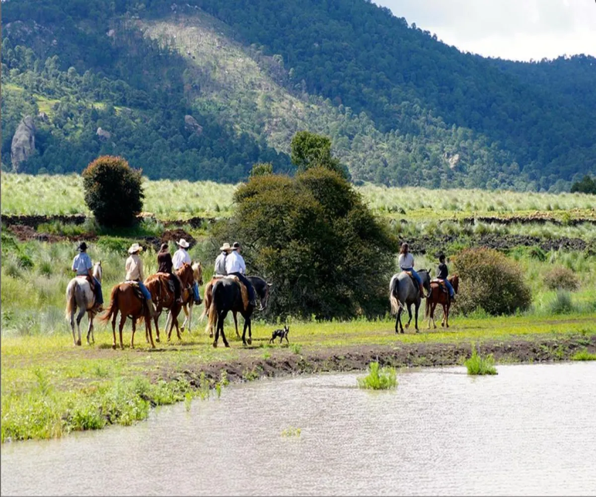 Terreno En Venta,Los Espinos,los reflejos S/N, Tapalpa, Jalisco 49346,los reflejos,p8NSGJh