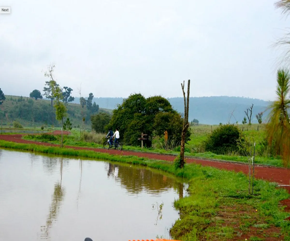 Terreno En Venta,Los Espinos,los reflejos S/N, Tapalpa, Jalisco 49346,los reflejos,p8NSGJh