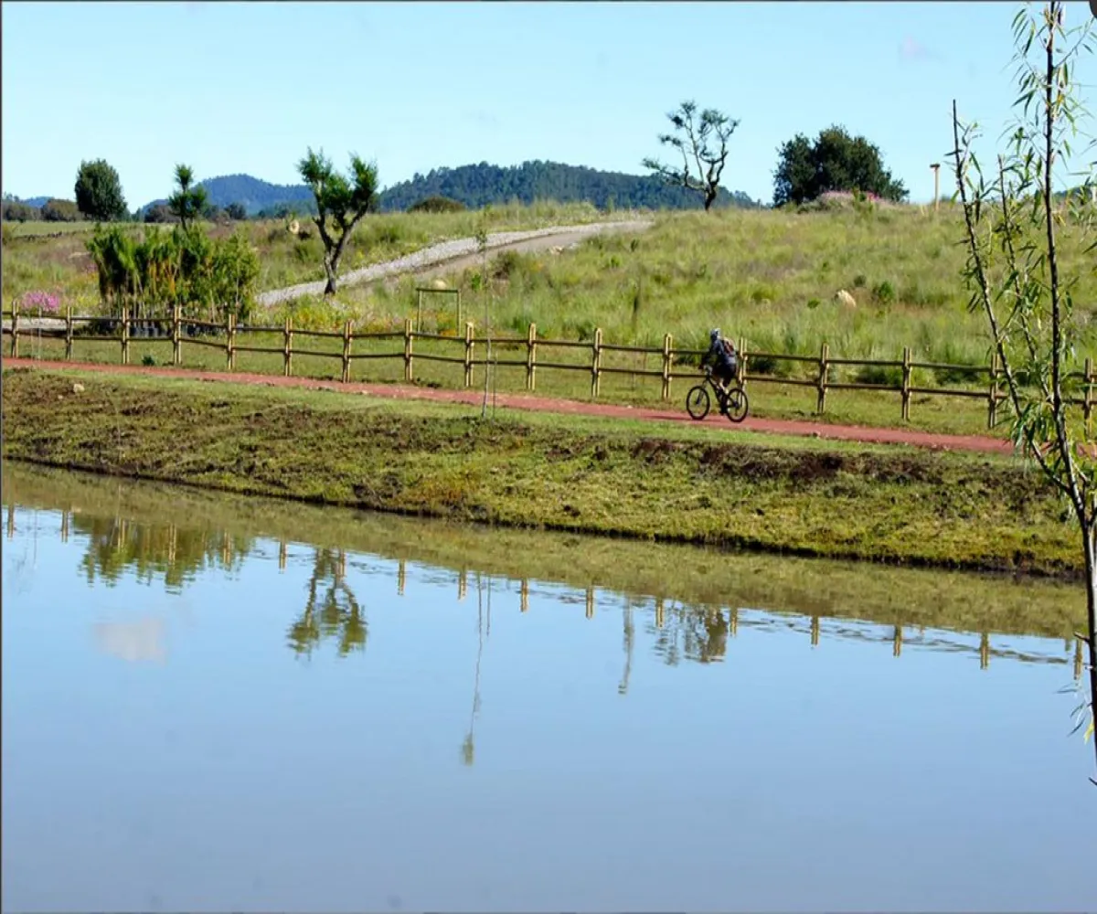 Terreno En Venta,Los Espinos,los reflejos S/N, Tapalpa, Jalisco 49346,los reflejos,p8NSGJh