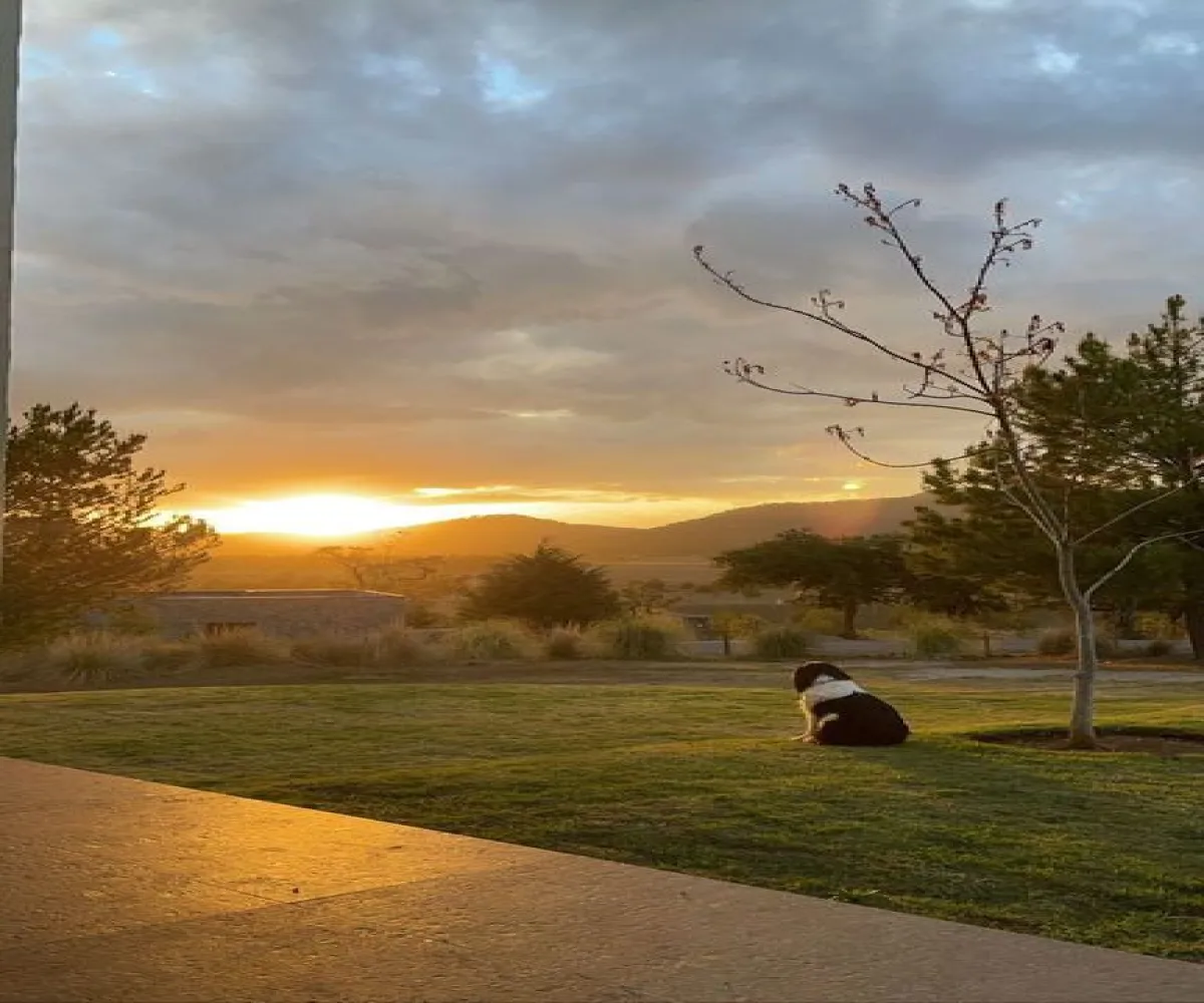 Terreno En Venta,Los Espinos,los reflejos S/N, Tapalpa, Jalisco 49346,los reflejos,p8NSGJh