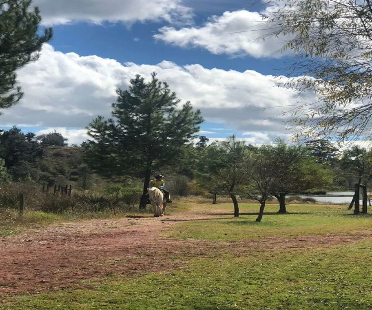 Terreno En Venta,Los Espinos,los reflejos S/N, Tapalpa, Jalisco 49346,los reflejos,p8NSGJh