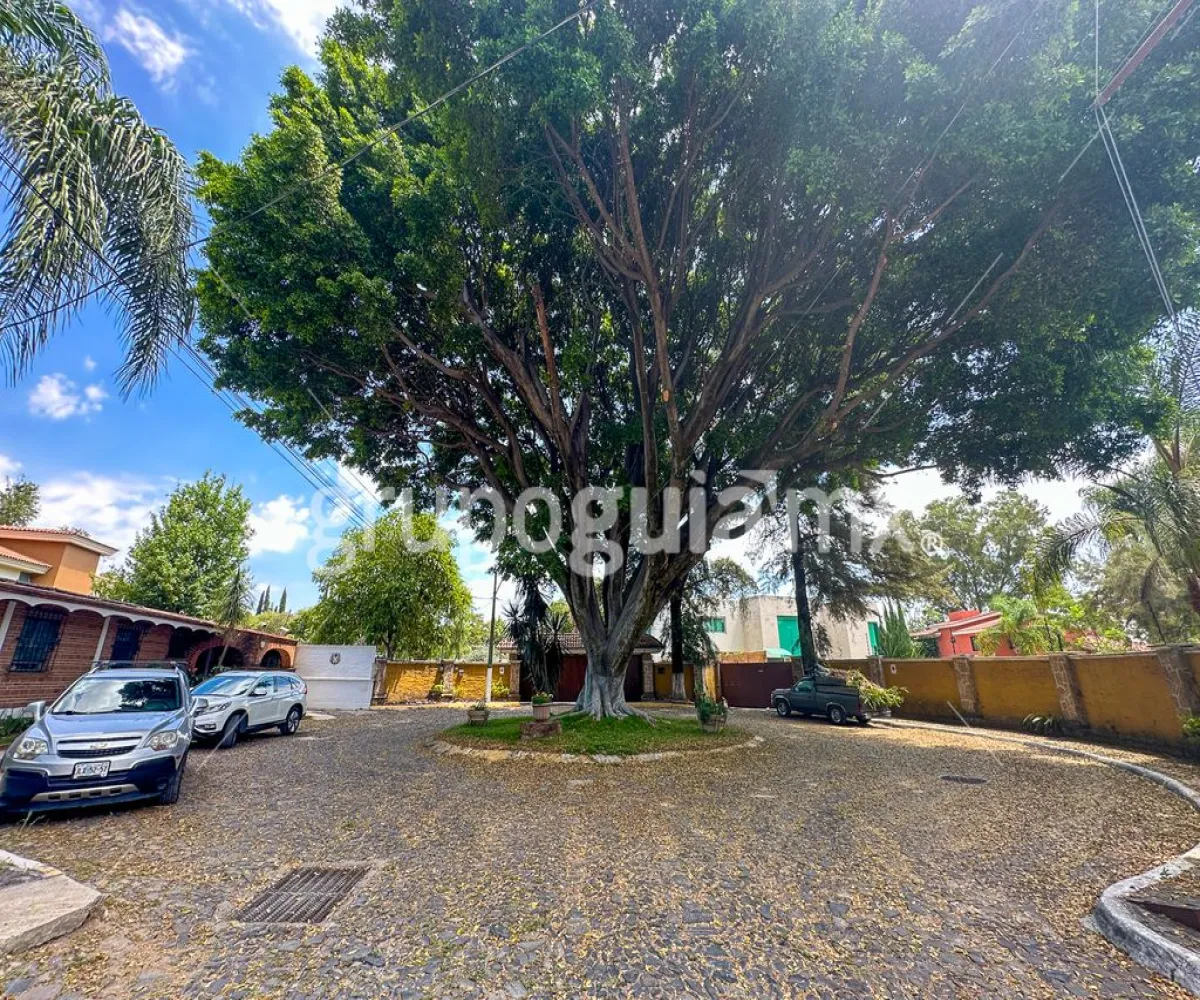 Terreno En Venta,Bugambilias,AGUSTIN LARA 320, Zapopan, Jalisco 45239,AGUSTIN LARA,1,pRveHJ1