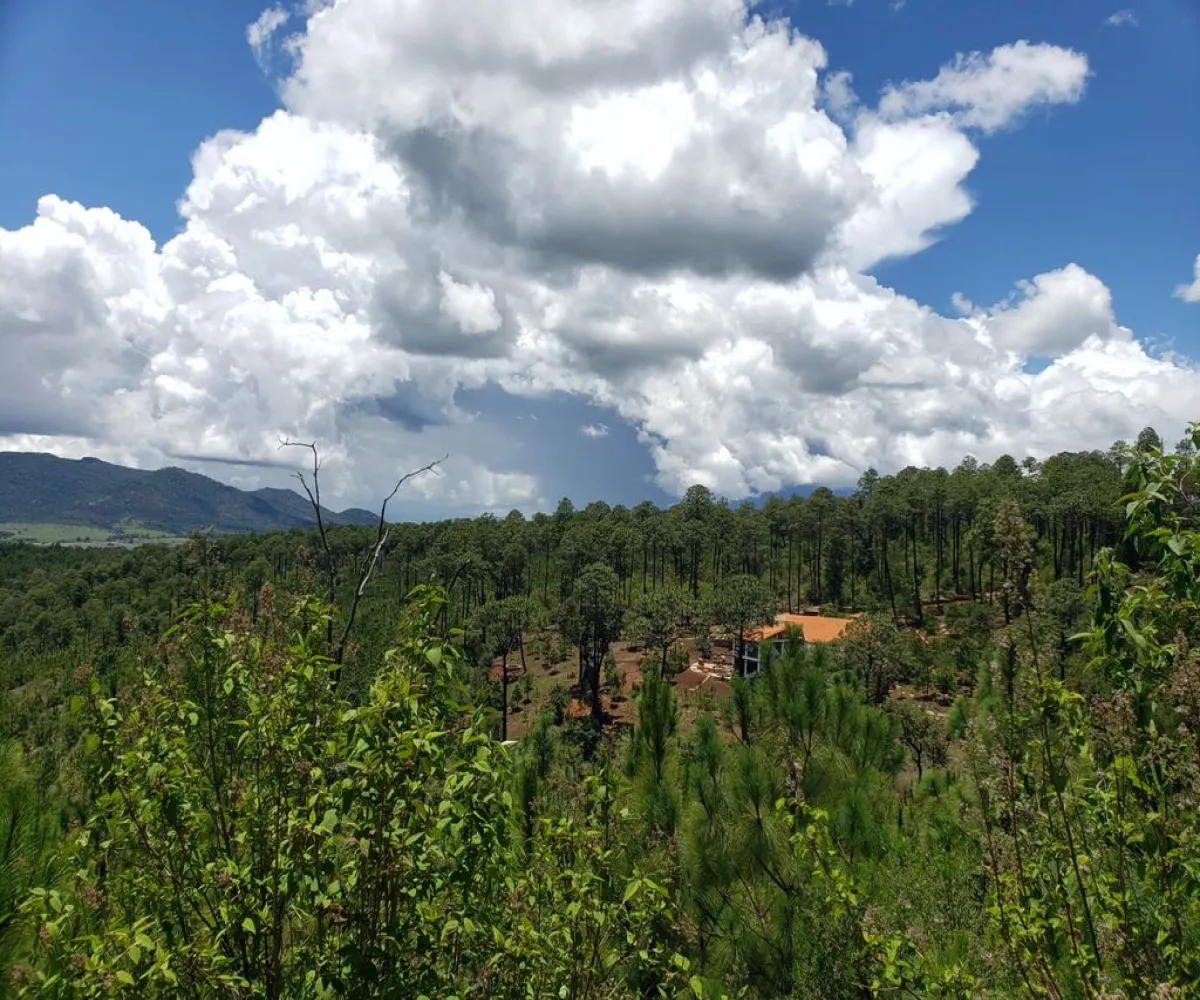 Terreno En Venta,Fraccionamiento Bosques de la Cañada,Km 5.5 Carretera la frontera Atemajac de Brizuela 25, Tapalpa, Jalisco 49368,Km 5.5 Carretera la frontera Atemajac de Brizuela ,1,pO7U4Iw