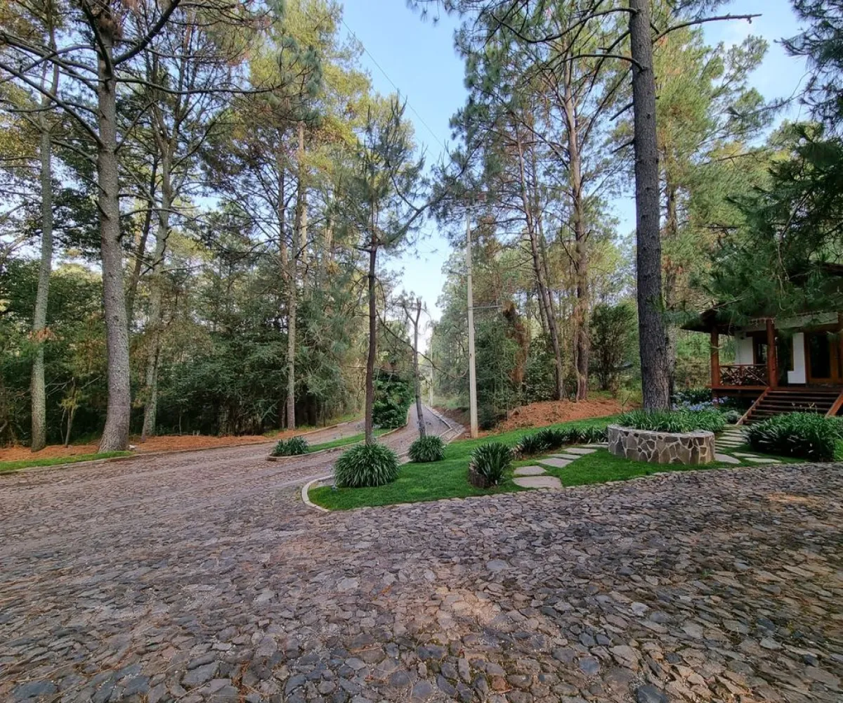 Terreno En Venta,Fraccionamiento Bosques de la Cañada,Km 5.5 Carretera la frontera Atemajac de Brizuela 25, Tapalpa, Jalisco 49368,Km 5.5 Carretera la frontera Atemajac de Brizuela ,1,pO7U4Iw