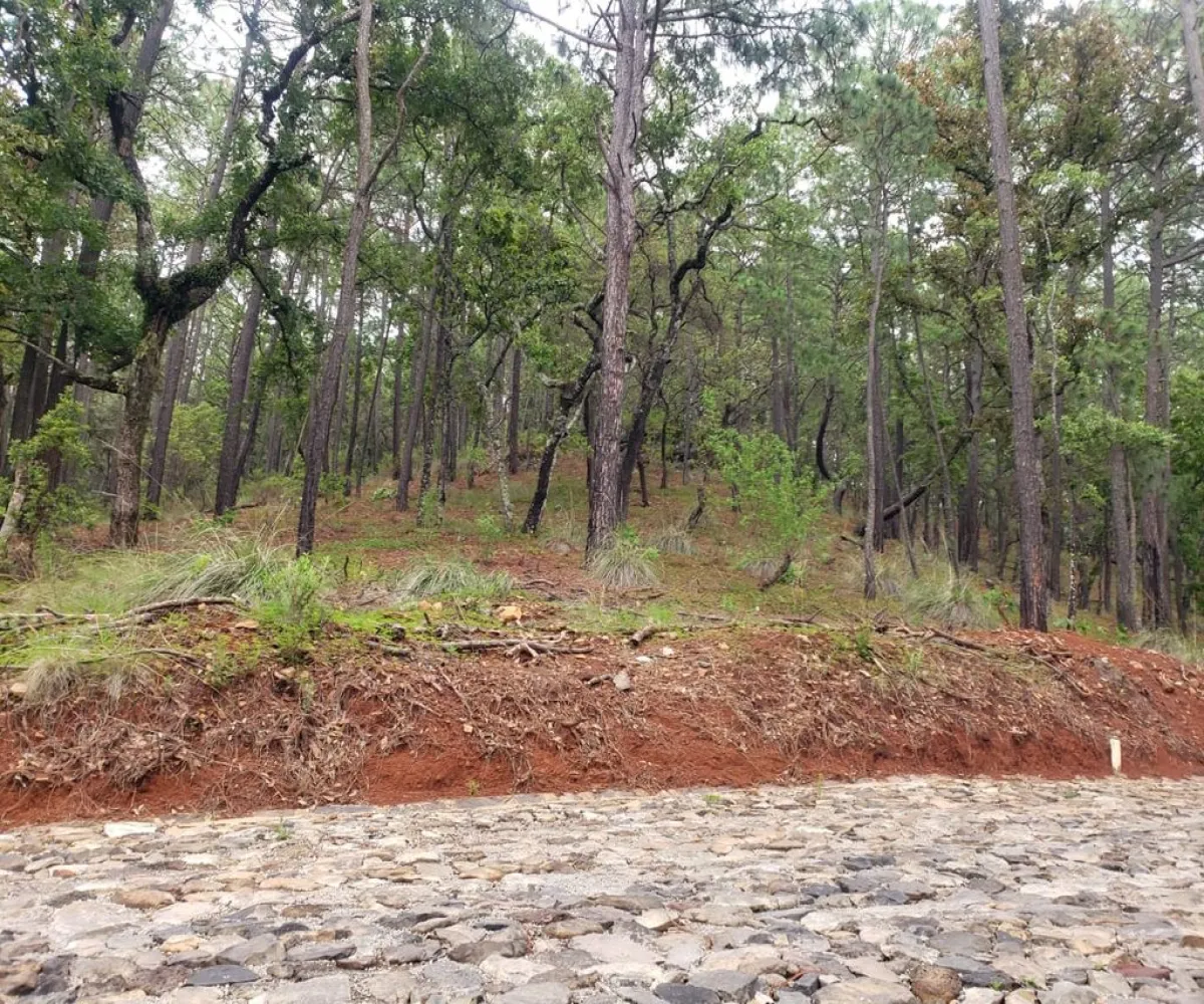 Terreno En Venta,Fraccionamiento Bosques de la Cañada,Km 5.5 Carretera la frontera Atemajac de Brizuela 25, Tapalpa, Jalisco 49368,Km 5.5 Carretera la frontera Atemajac de Brizuela ,1,pO7U4Iw