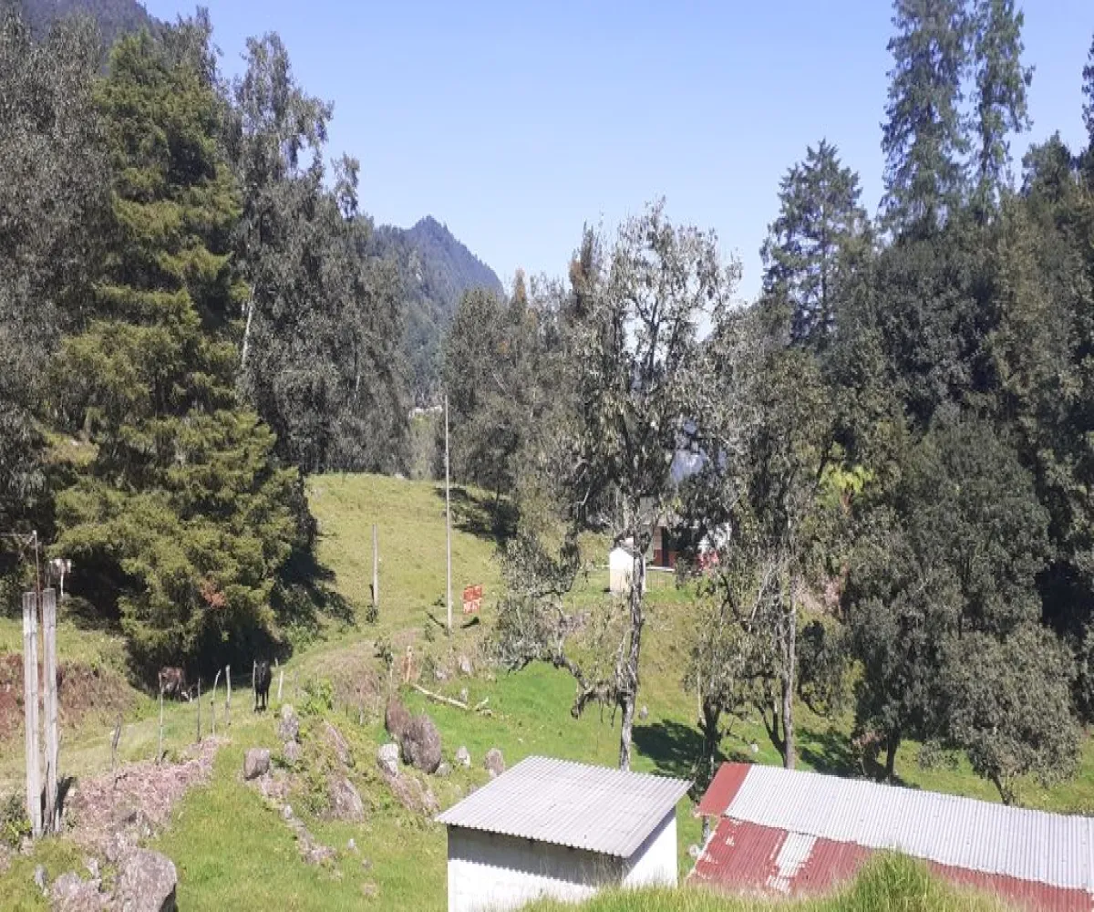 Terreno En Venta,La Viejita,LA VIEJITA S/N, Tenango de Doria, Hidalgo 43488,LA VIEJITA,1,prnZt2Z