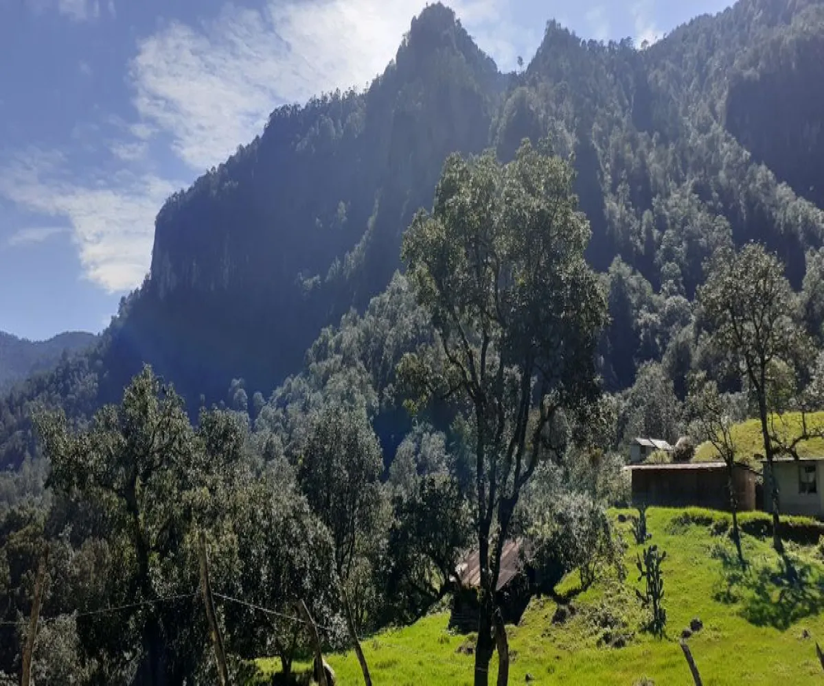 Terreno En Venta,La Viejita,LA VIEJITA S/N, Tenango de Doria, Hidalgo 43488,LA VIEJITA,1,prnZt2Z