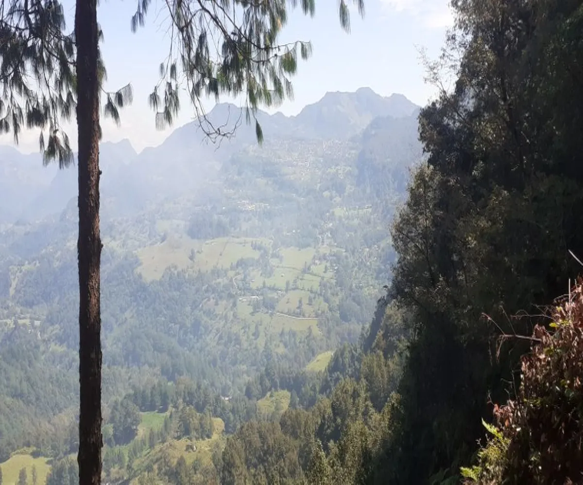 Terreno En Venta,La Viejita,LA VIEJITA S/N, Tenango de Doria, Hidalgo 43488,LA VIEJITA,1,prnZt2Z