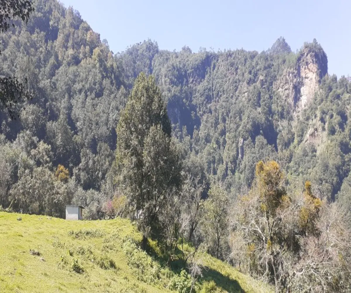 Terreno En Venta,La Viejita,LA VIEJITA S/N, Tenango de Doria, Hidalgo 43488,LA VIEJITA,1,prnZt2Z