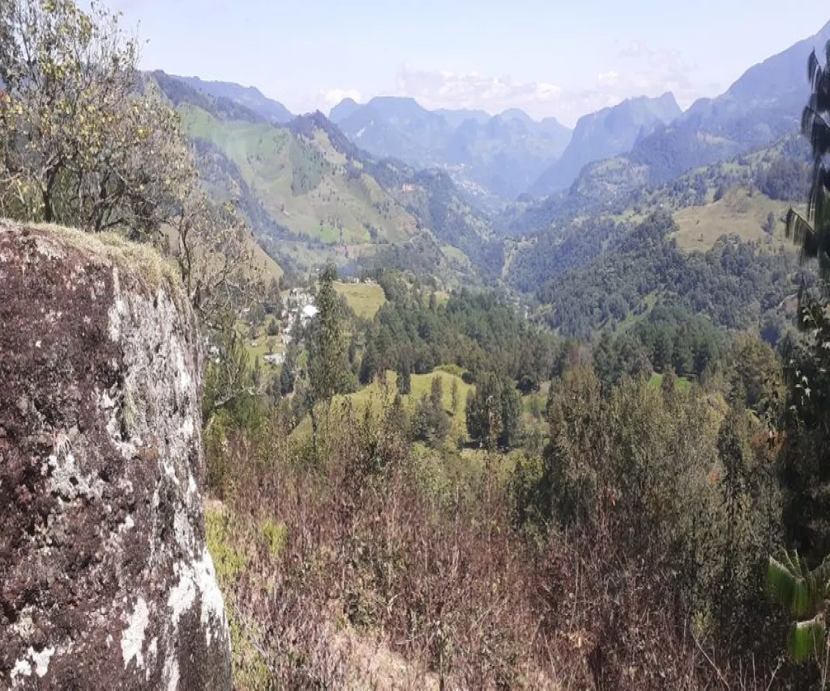 Terreno En Venta,La Viejita,LA VIEJITA S/N, Tenango de Doria, Hidalgo 43488,LA VIEJITA,1,prnZt2Z