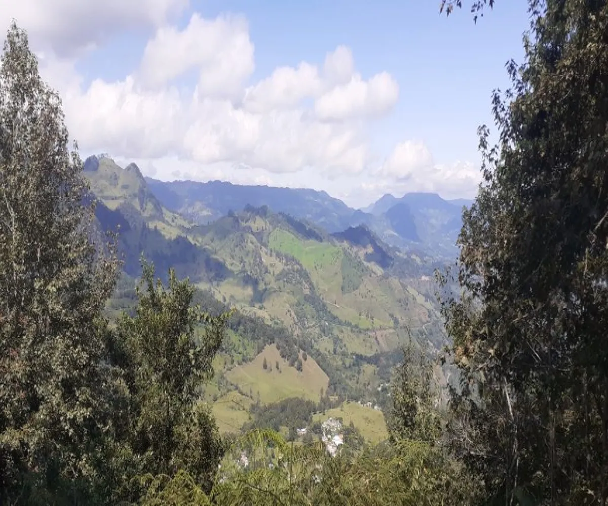 Terreno En Venta,La Viejita,LA VIEJITA S/N, Tenango de Doria, Hidalgo 43488,LA VIEJITA,1,prnZt2Z