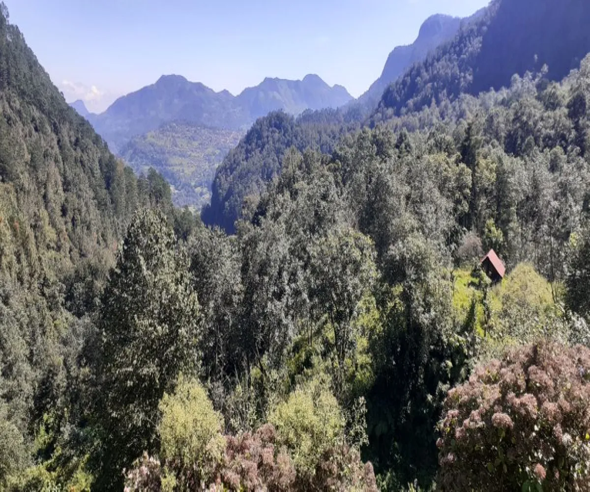 Terreno En Venta,La Viejita,LA VIEJITA S/N, Tenango de Doria, Hidalgo 43488,LA VIEJITA,1,prnZt2Z