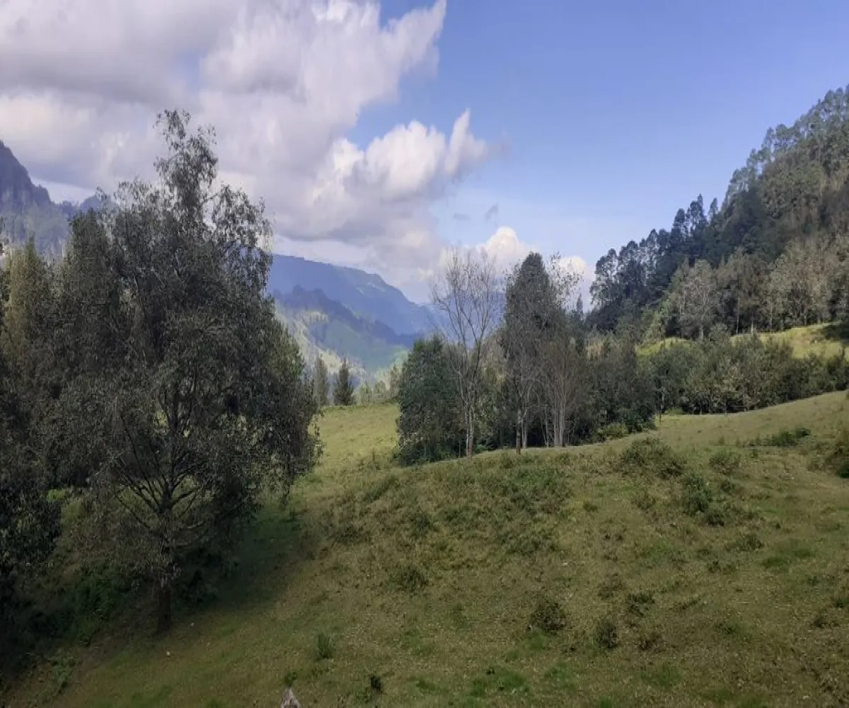 Terreno En Venta,La Viejita,LA VIEJITA S/N, Tenango de Doria, Hidalgo 43488,LA VIEJITA,1,prnZt2Z