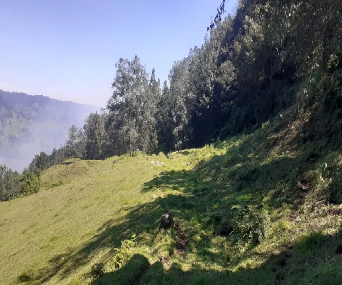 Terreno En Venta,La Viejita,LA VIEJITA S/N, Tenango de Doria, Hidalgo 43488,LA VIEJITA,1,prnZt2Z