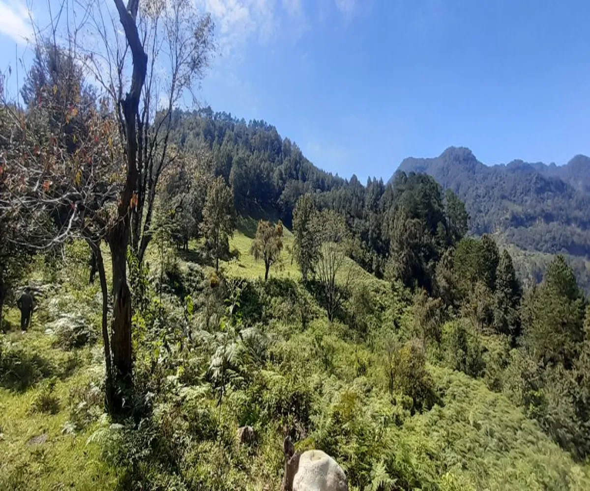 Terreno En Venta,La Viejita,LA VIEJITA S/N, Tenango de Doria, Hidalgo 43488,LA VIEJITA,1,prnZt2Z