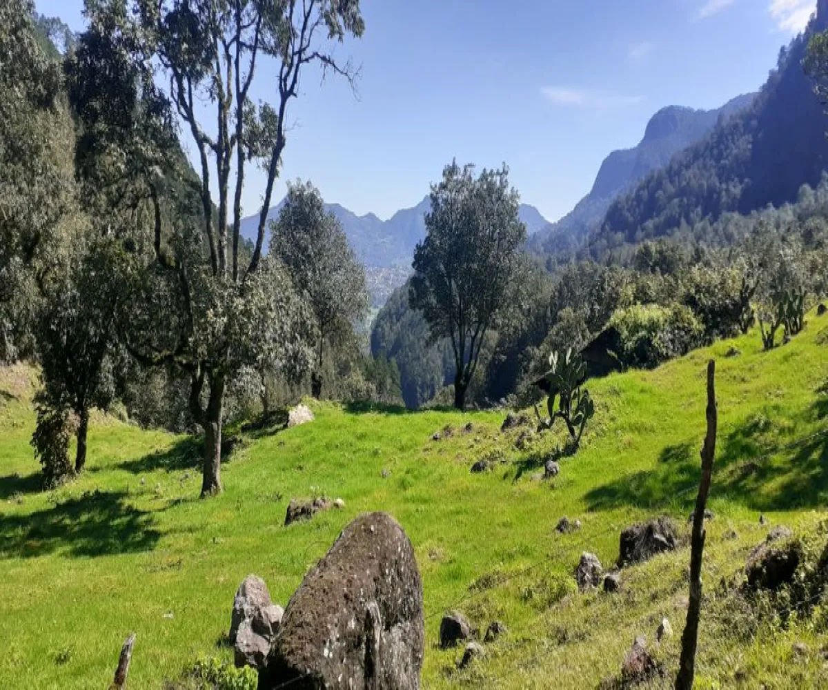 Terreno En Venta,La Viejita,LA VIEJITA S/N, Tenango de Doria, Hidalgo 43488,LA VIEJITA,1,prnZt2Z