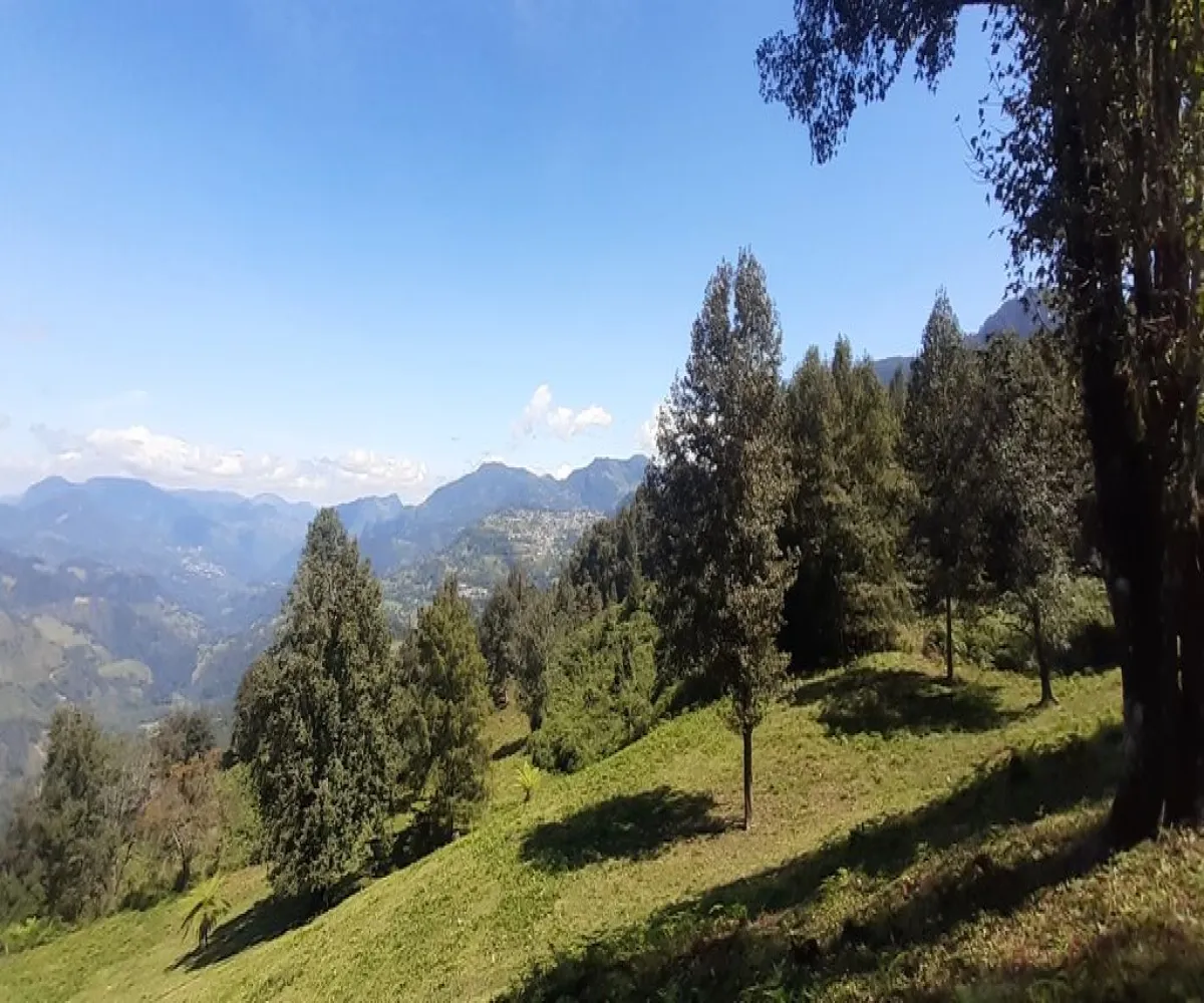 Terreno En Venta,La Viejita,LA VIEJITA S/N, Tenango de Doria, Hidalgo 43488,LA VIEJITA,1,prnZt2Z