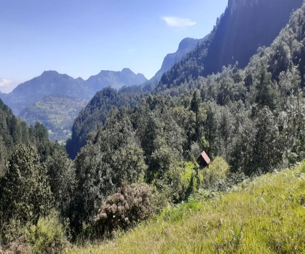 Terreno En Venta,La Viejita,LA VIEJITA S/N, Tenango de Doria, Hidalgo 43488,LA VIEJITA,1,prnZt2Z