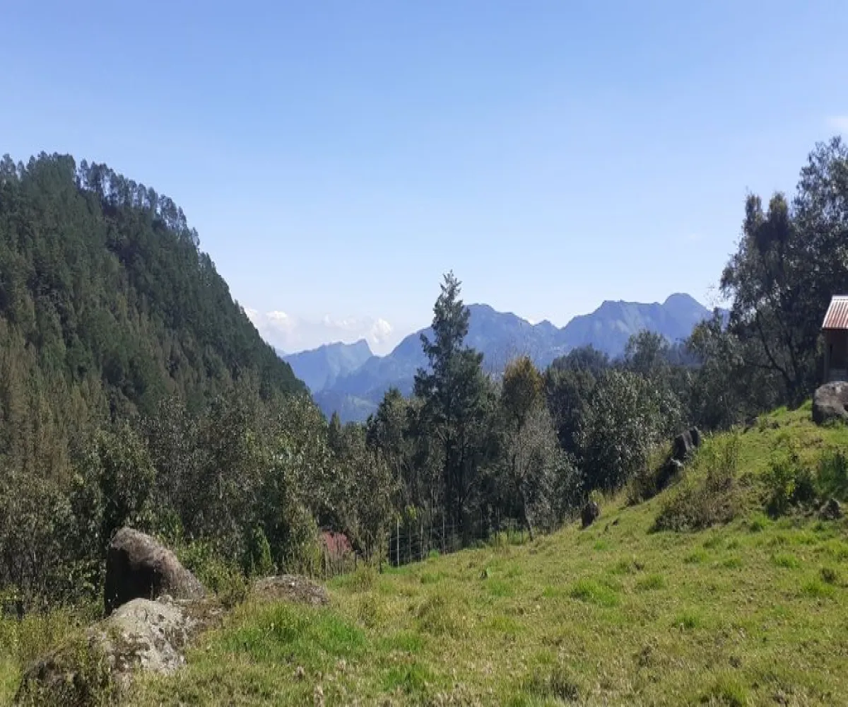 Terreno En Venta,La Viejita,LA VIEJITA S/N, Tenango de Doria, Hidalgo 43488,LA VIEJITA,1,prnZt2Z