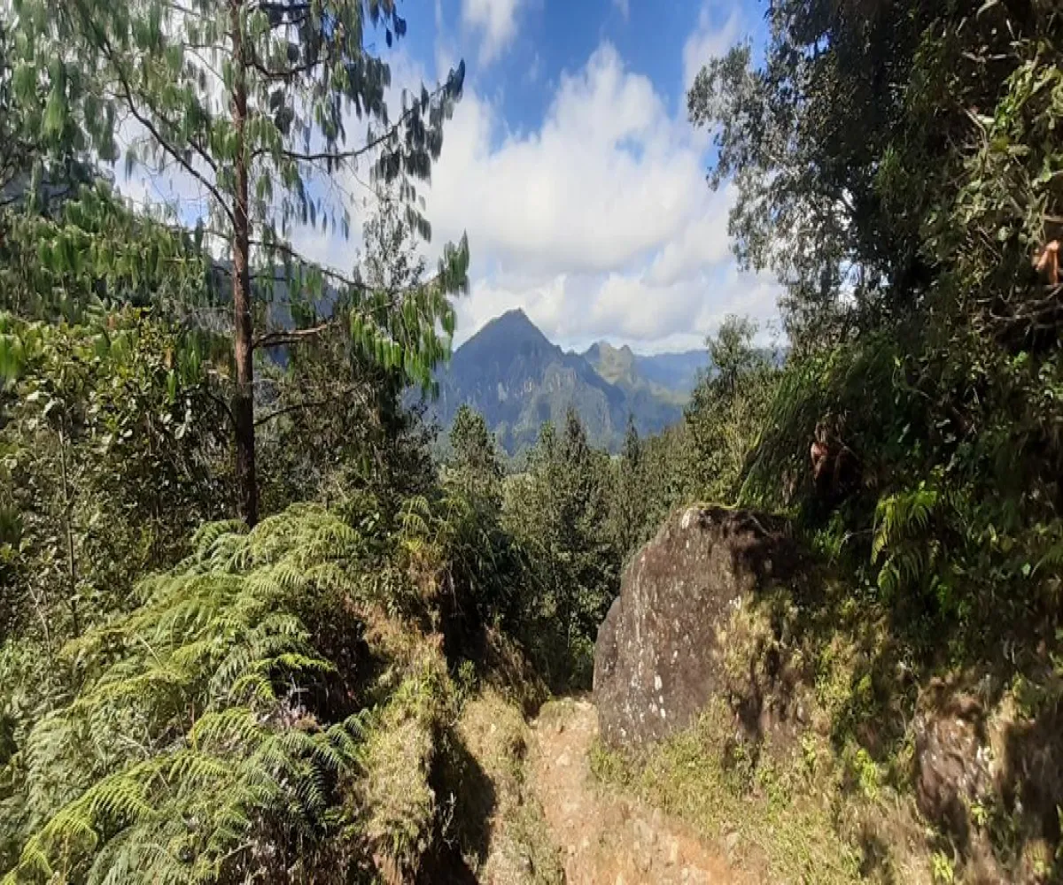 Terreno En Venta,La Viejita,LA VIEJITA S/N, Tenango de Doria, Hidalgo 43488,LA VIEJITA,1,prnZt2Z