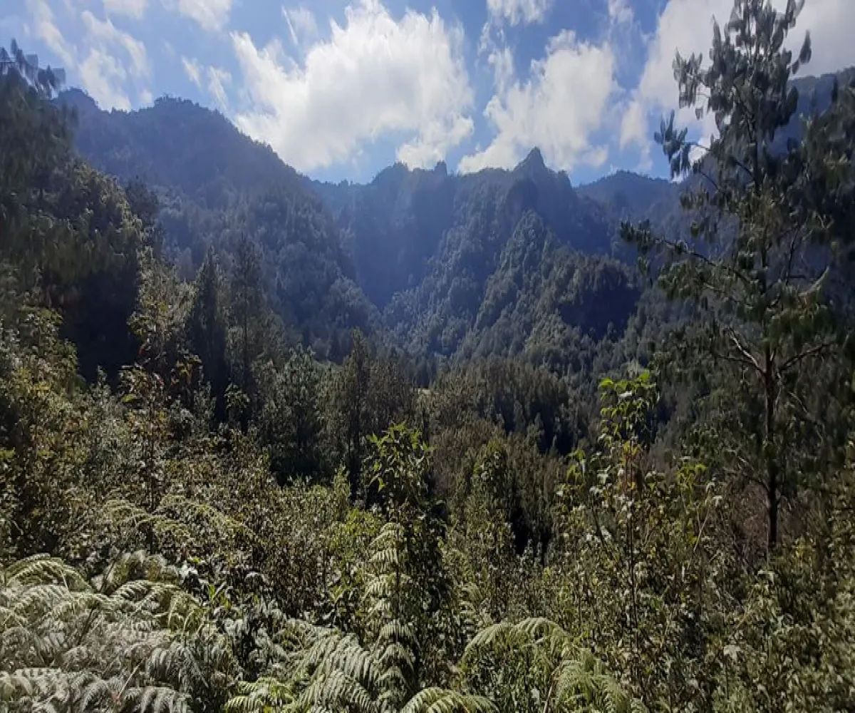 Terreno En Venta,La Viejita,LA VIEJITA S/N, Tenango de Doria, Hidalgo 43488,LA VIEJITA,1,prnZt2Z