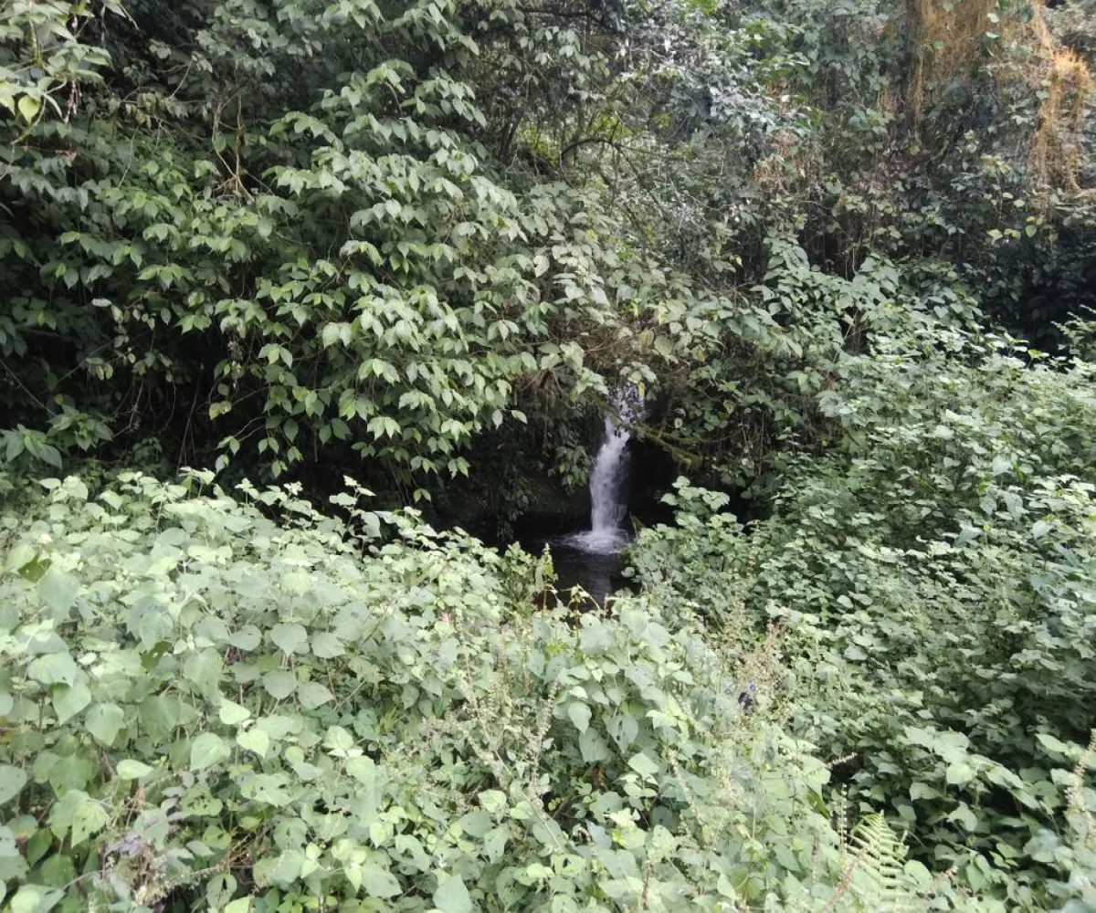 Terreno En Venta,La Viejita,LA VIEJITA S/N, Tenango de Doria, Hidalgo 43488,LA VIEJITA,1,prnZt2Z