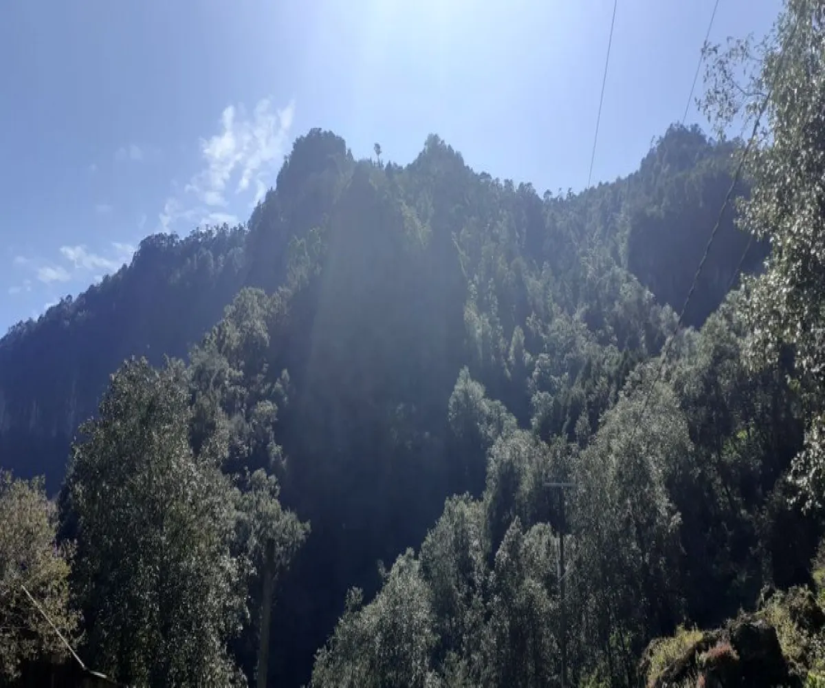 Terreno En Venta,La Viejita,LA VIEJITA S/N, Tenango de Doria, Hidalgo 43488,LA VIEJITA,1,prnZt2Z