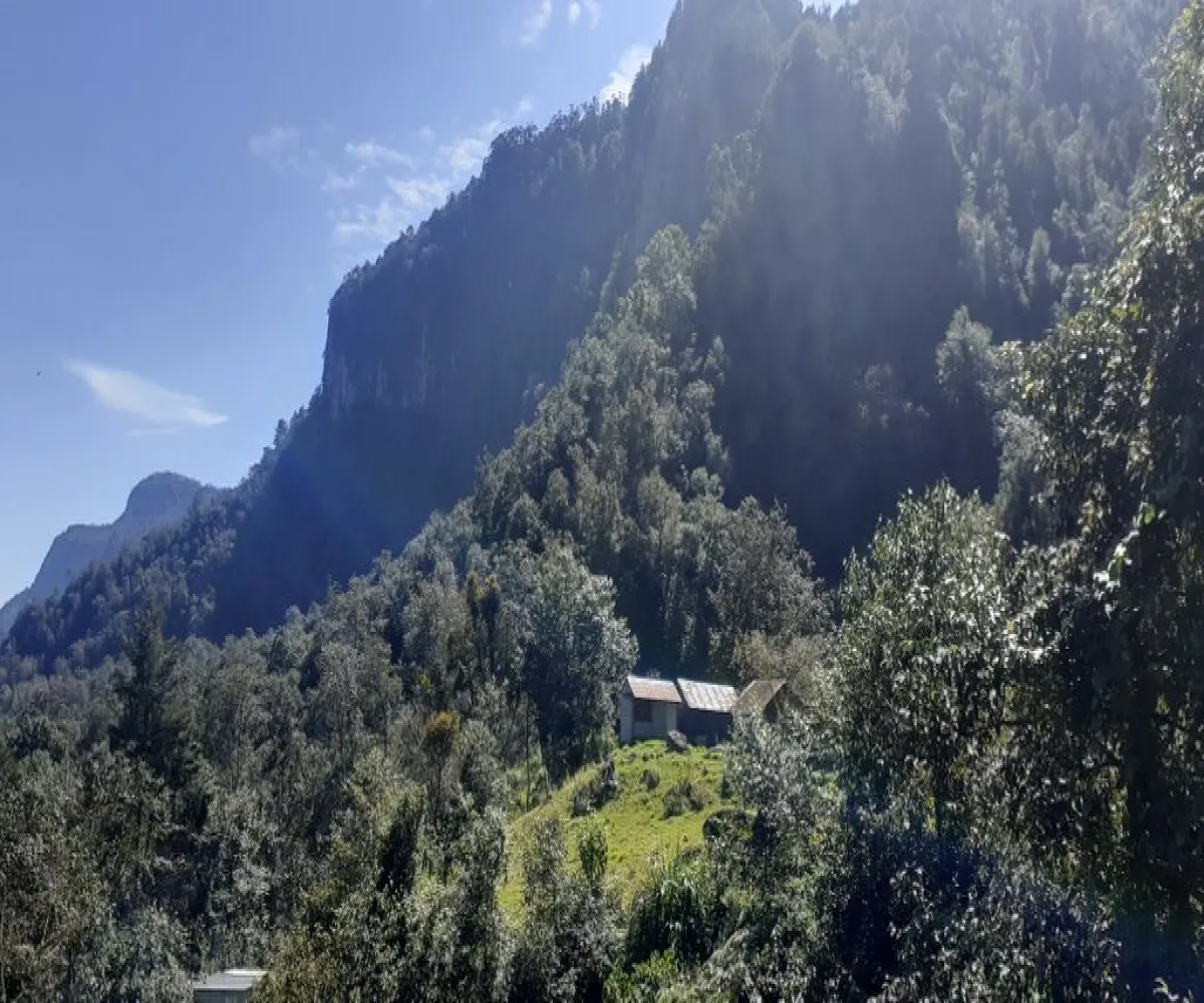 Terreno En Venta,La Viejita,LA VIEJITA S/N, Tenango de Doria, Hidalgo 43488,LA VIEJITA,1,prnZt2Z