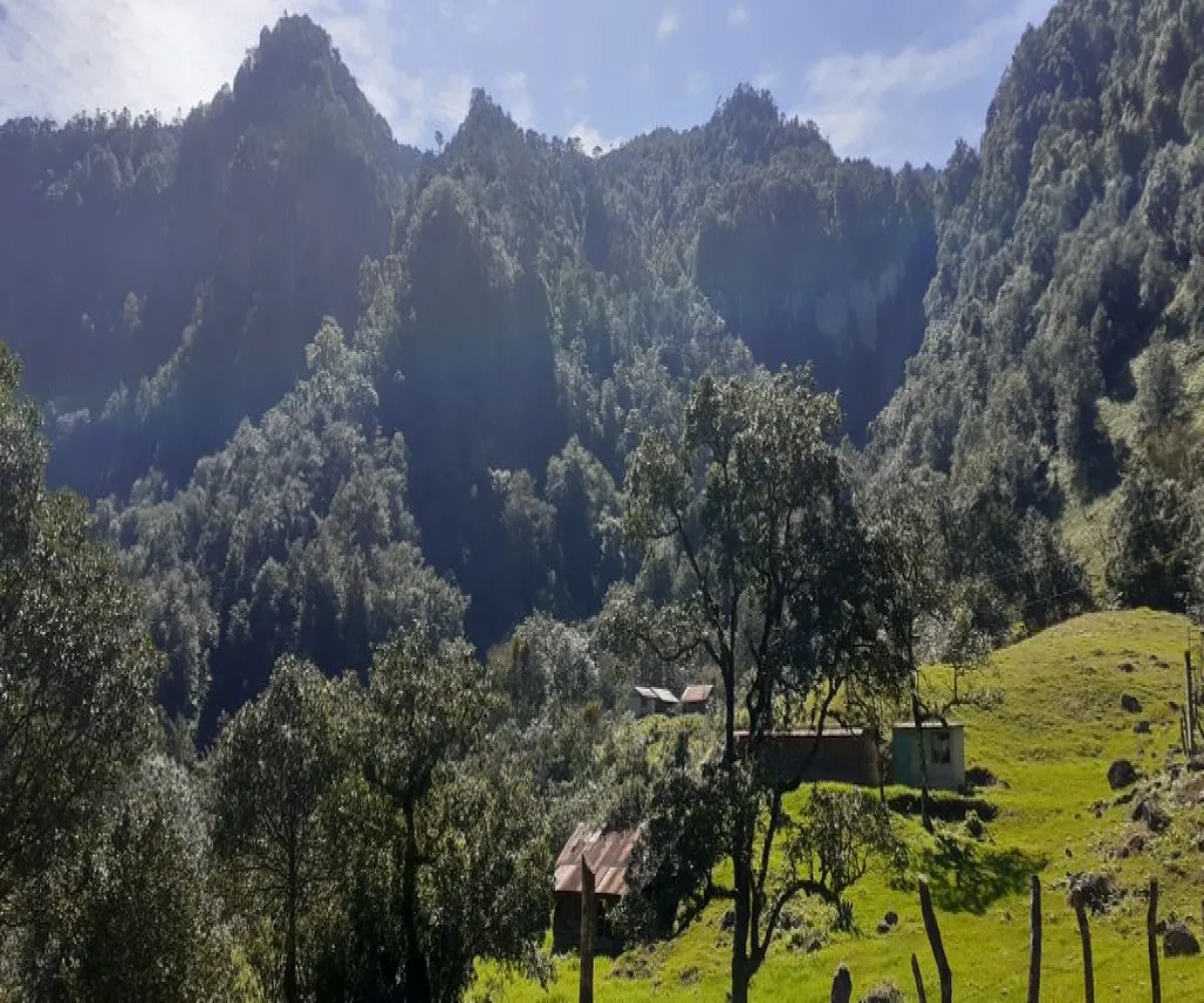 Terreno En Venta,La Viejita,LA VIEJITA S/N, Tenango de Doria, Hidalgo 43488,LA VIEJITA,1,prnZt2Z