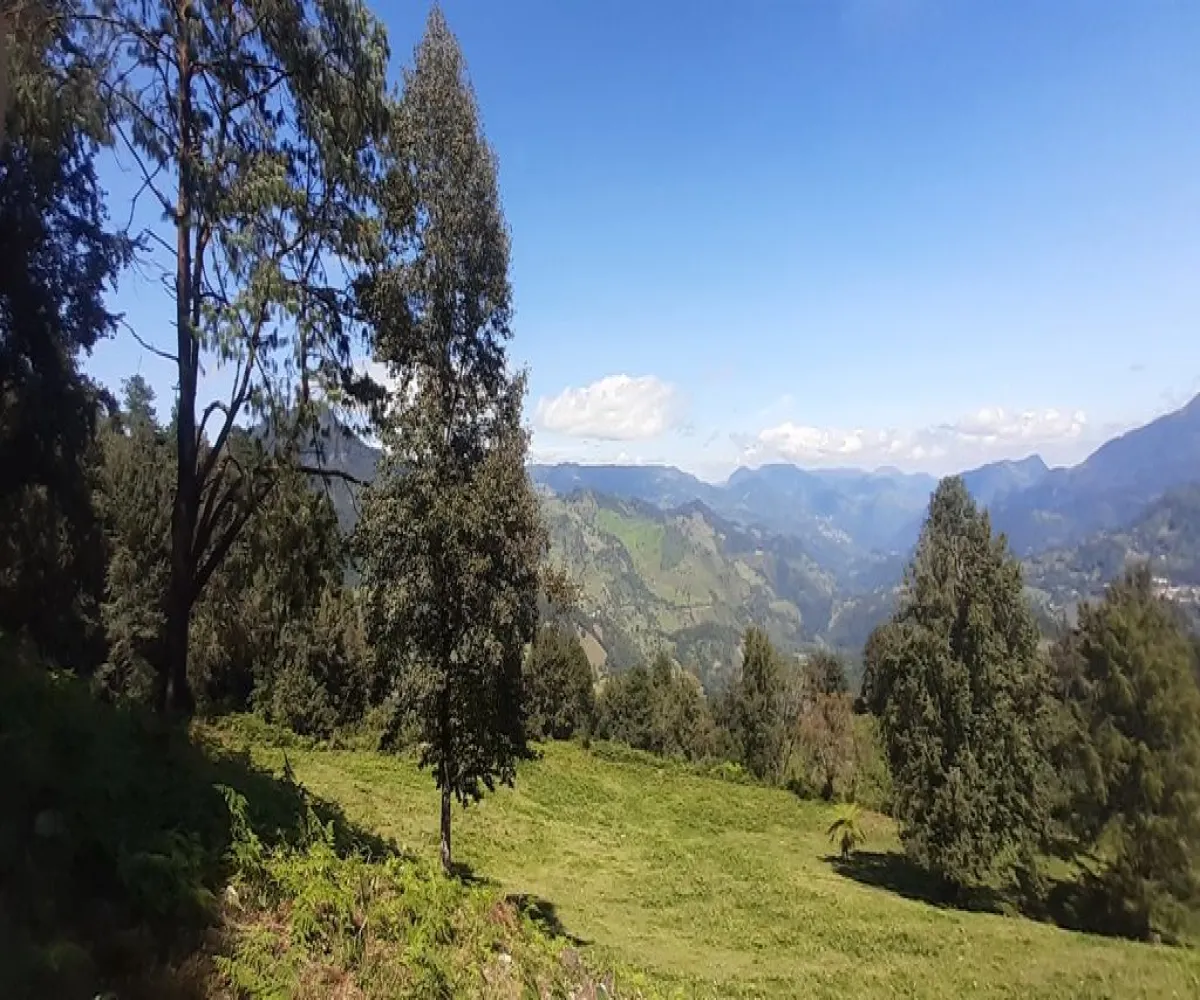 Terreno En Venta,La Viejita,LA VIEJITA S/N, Tenango de Doria, Hidalgo 43488,LA VIEJITA,1,prnZt2Z