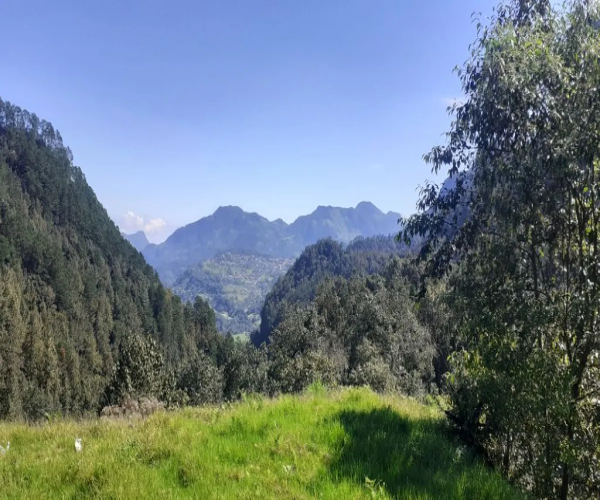 Terreno En Venta,La Viejita,LA VIEJITA S/N, Tenango de Doria, Hidalgo 43488,LA VIEJITA,1,prnZt2Z