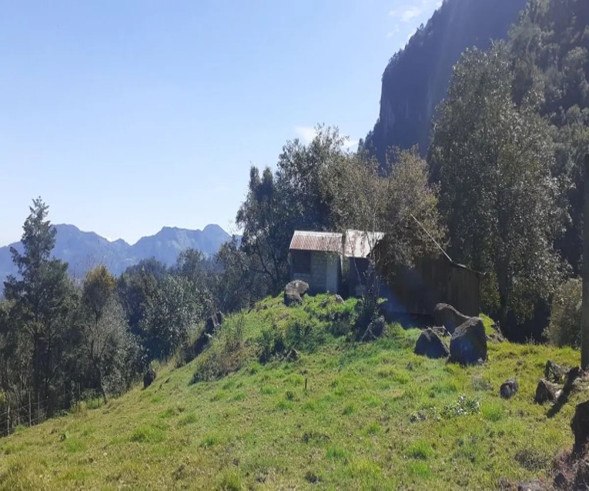 Terreno En Venta,La Viejita,LA VIEJITA S/N, Tenango de Doria, Hidalgo 43488,LA VIEJITA,1,prnZt2Z