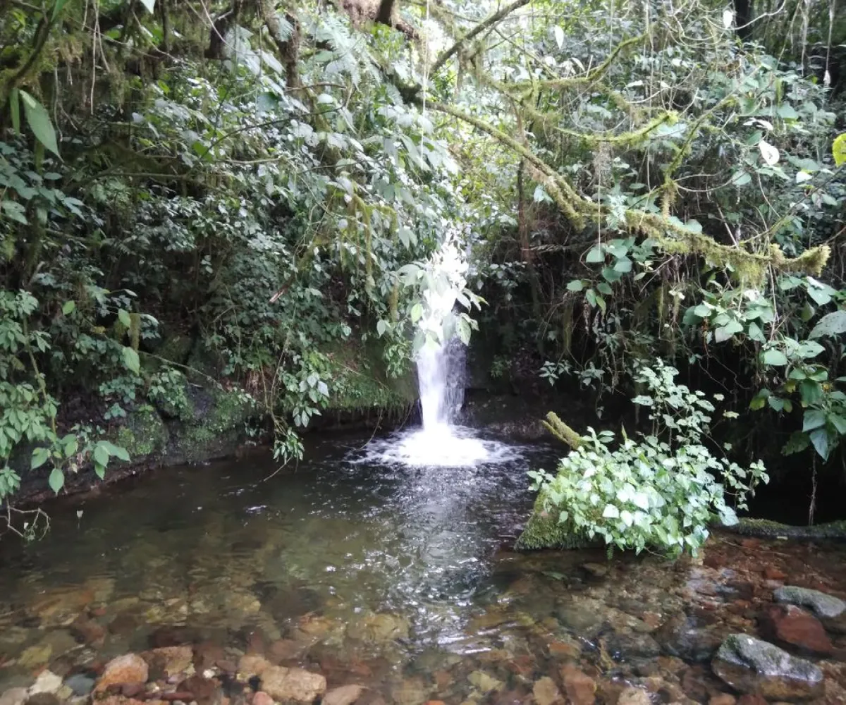 Terreno En Venta,La Viejita,LA VIEJITA S/N, Tenango de Doria, Hidalgo 43488,LA VIEJITA,1,prnZt2Z