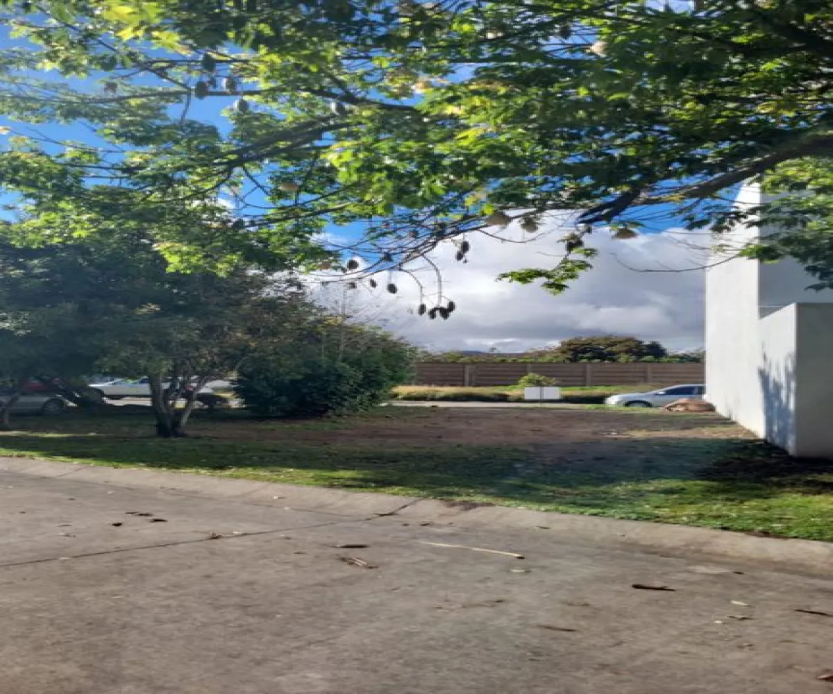 Terreno En Venta,Los Manzanos,Camino a las Moras 601, Tlajomulco de Zúñiga, Jalisco 45640,Camino a las Moras,1,pARLmfn