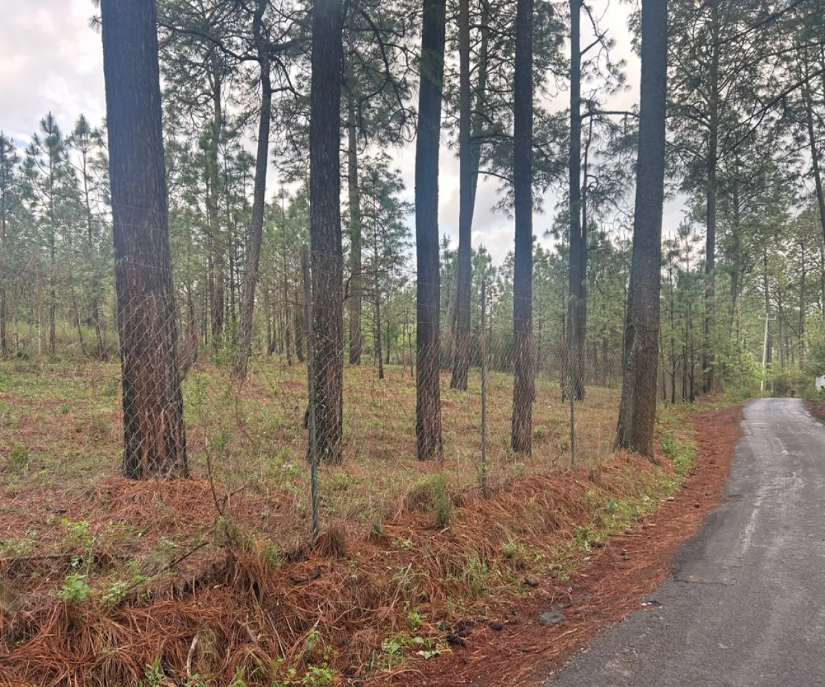 Terreno En Venta,Los Espinos,hacienda S/N, Tapalpa, Jalisco 49346,hacienda,ppAVA4F