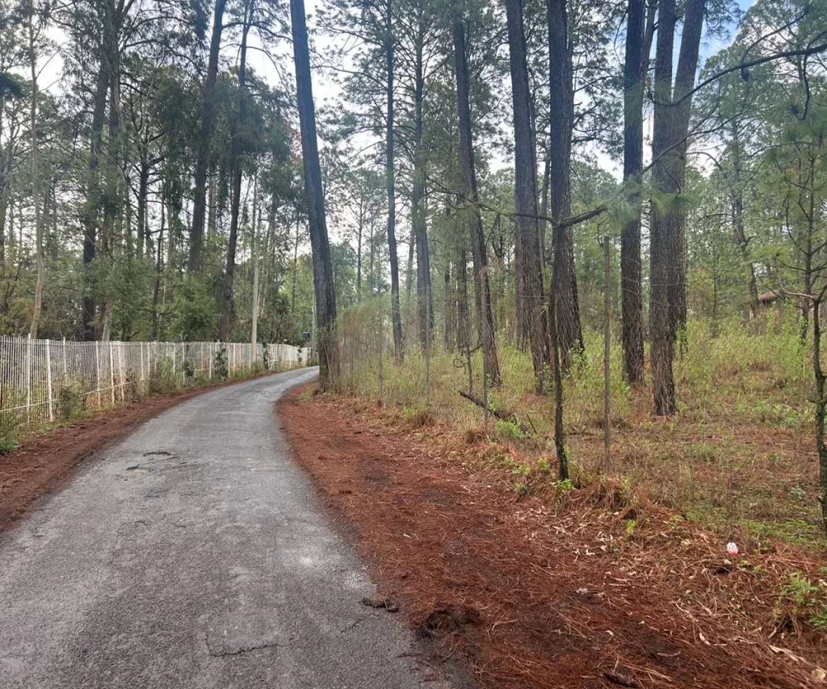 Terreno En Venta,Los Espinos,hacienda S/N, Tapalpa, Jalisco 49346,hacienda,ppAVA4F