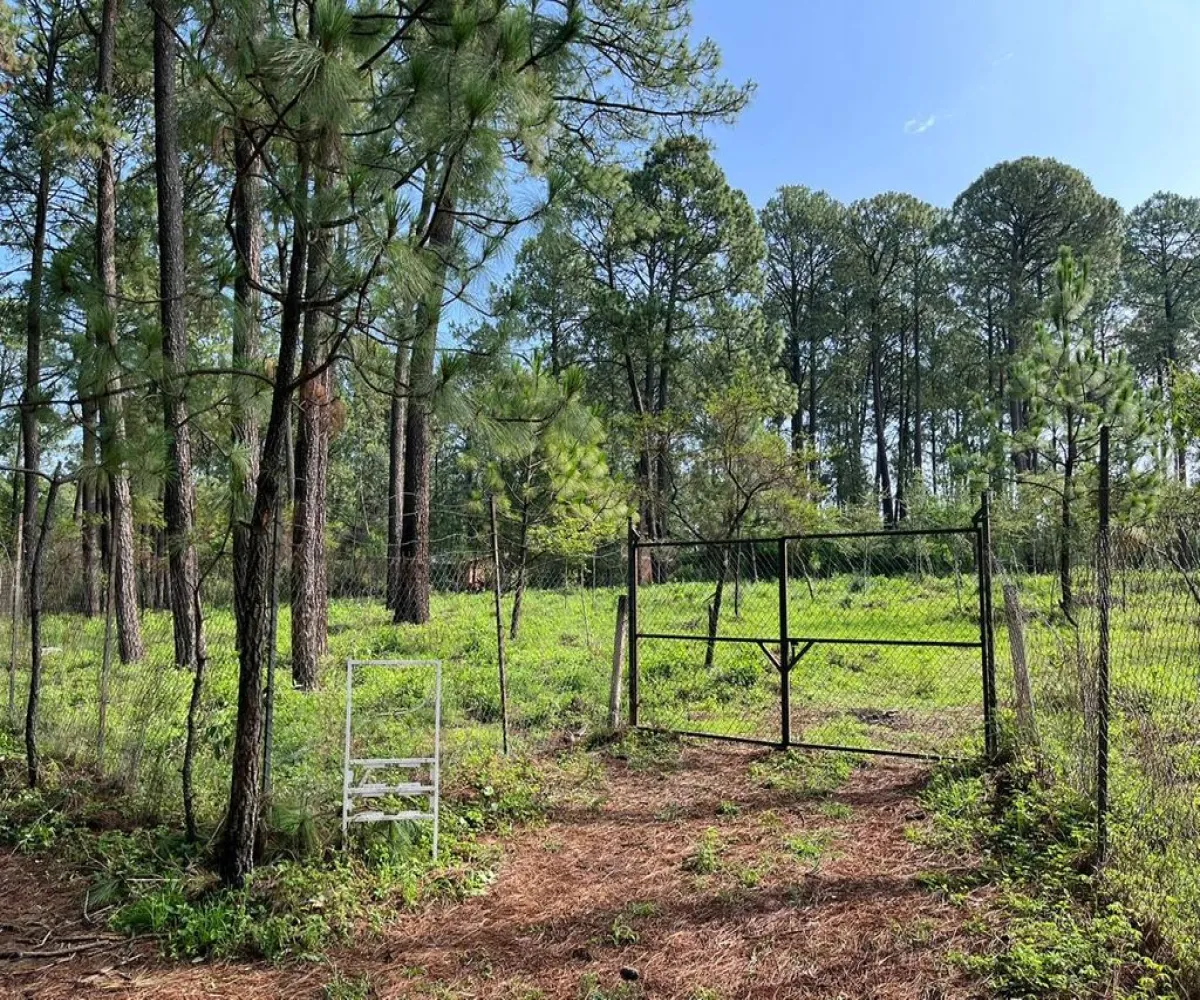 Terreno En Venta,Los Espinos,hacienda S/N, Tapalpa, Jalisco 49346,hacienda,ppAVA4F