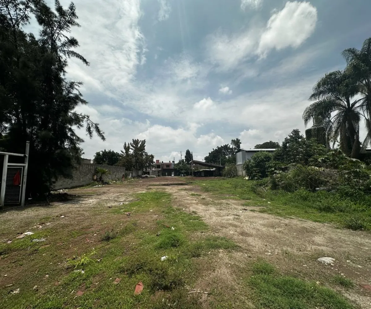 Terreno En Venta,Los Cajetes,San Francisco 1228, Zapopan, Jalisco 45234,San Francisco,phMlMfI Terreno En Venta,Los Cajetes,San Francisco 1228, Zapopan, Jalisco 45234,San Francisco,phMlMfI