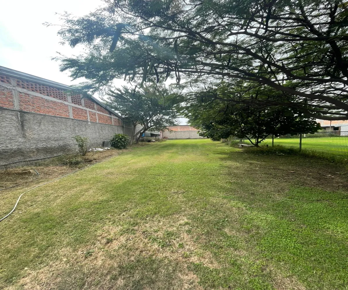 Terreno En Renta,Santa María Tequepexpan,Pinar 88, San Pedro Tlaquepaque, Jalisco 45601,Pinar,1,665190